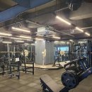 레드스타필드 휘트니스 이미지