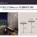 포레포레 이미지