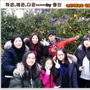 현욱농장 | (용인에서 온 하은 예은 다은 김계범 팀) 숙소 가다가 우연히 들린 농장에서 감귤따기 체험~