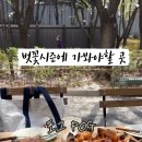 포그(pog) 이미지