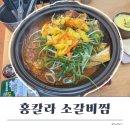 홍칼라 이미지