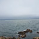 비응항PC 이미지