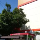 역촌초등학교 정문 이미지