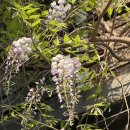 무성약국 이미지