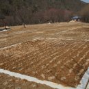 뱀사골자동차야영장 이미지