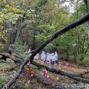 오산초등학교 이미지