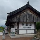 안동 하회마을 삼신당 삼신나무 소원🙏 임신 준비 중 다녀온 후기 (부용대 절경)