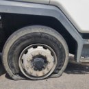 여주-0982 이미지