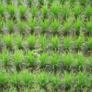 찬우물약수터 이미지