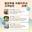 착한애견미용 이미지