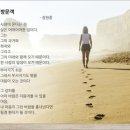 쓰담쓰다