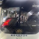 마산기사식당 | ep.31 마산소녀와 서울멋쟁이