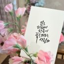 까사리까 이미지