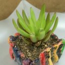 인왕유치원 이미지