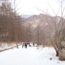 추억 회상 산행기(호문산악회 태백산 시산제 2008년 2월) 이미지