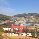 양월1리 티스토리