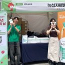 어니스트리 이미지