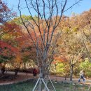 자연보호헌장기념비 이미지