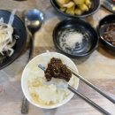 도도한돼지 이미지