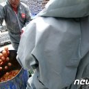 이미숙농장 이미지