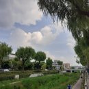 채송화어린이공원 이미지