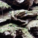 맨도롱하우스 민박 이미지