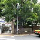 270-4536 | 도쿄 우에노역 숙소 캡슐호텔 댄디를 최저가 270엔에 예약했다.