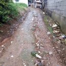 성우건설(주) 이미지