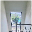 제주애견동반솔펜션 이미지