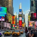 필 가이즈 | 뉴욕 여행 1-1일차 | 존에프케네디 공항, 뉴욕 타임스퀘어, 조스 피자, 할랄 가이즈