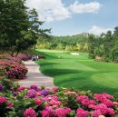 파인비치 이미지