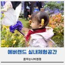 꿈꾸는 나비 | 에버랜드 꿈꾸는나비정원 방문 후기, 위치부터 체험팁까지