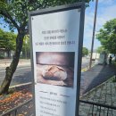 내돈내산 | 프랑스 유학파 파주 카페 라본느베이커리 출판단지점