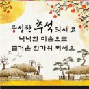 시마헤어 - 수영구 수영로 609-1 | 시마헤어