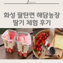 해담농장 | 32개월 아기랑 다녀온 화성 팔탄면 해담농장 딸기 체험 후기