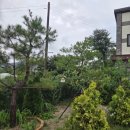 초콜릿 하우스(주말) 이미지