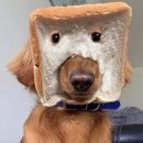 베카 프리미엄 델리샵