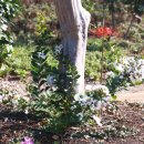 가야농장 이미지