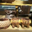 해림농장 이미지