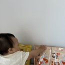 간식타임 - 강화군 강화대로248번길 24 | 성분 깔끔한 이유식간식 🤍 스푼타임 통통 스낵 아기간식추천 후기