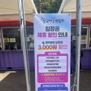 정발산공원 | 일산호수공원 꽃박람회 기간 입장료 “연인·아이·부모님 모두 만족"