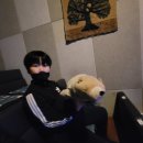 기봉농장 | 북극곰예술여행 연극 관람 후기