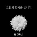 주식회사 진성부동산중개법인 이미지