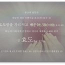 흰돌인터넷 이미지