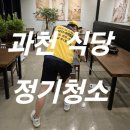 돌핀크린 이미지