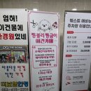 짱블리 짱금이 이미지