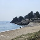 25년 제14차 정기산행/ 해파랑길 33코스 일부구간(4월 18일 금요일 8시 40분) 이미지