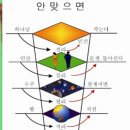 자전리천 이미지
