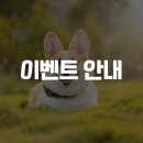 럭스펫케어