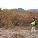 [국제신문] 근교산&그너머 ＜1219＞ 경북 의성 산수유길솔숲 이미지